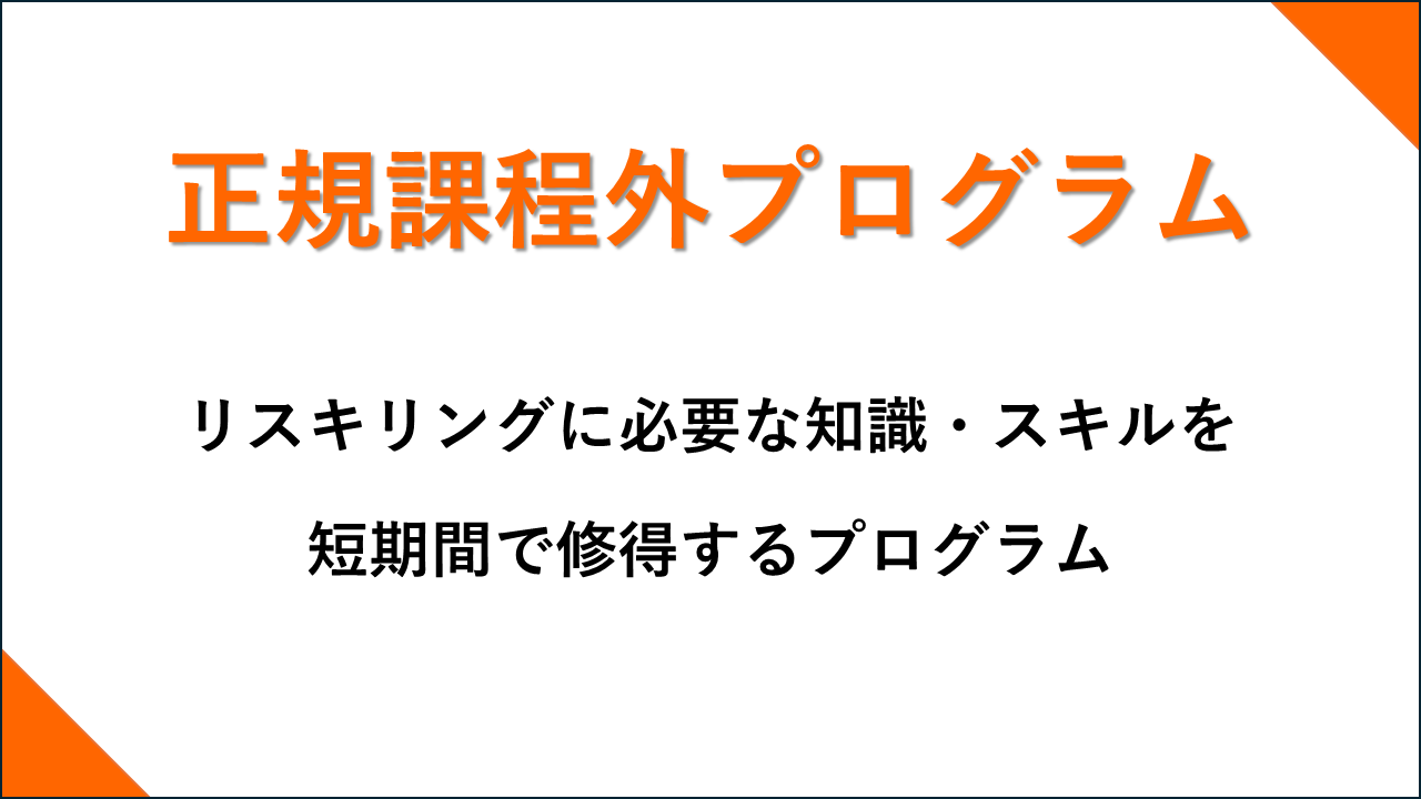 正規課程外プログラム