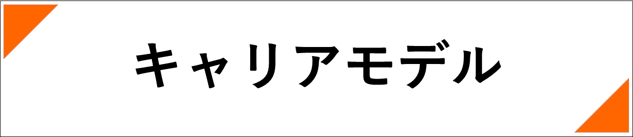 キャリアモデル